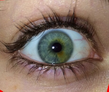 It creates the appearance that your eyelashes are thicker