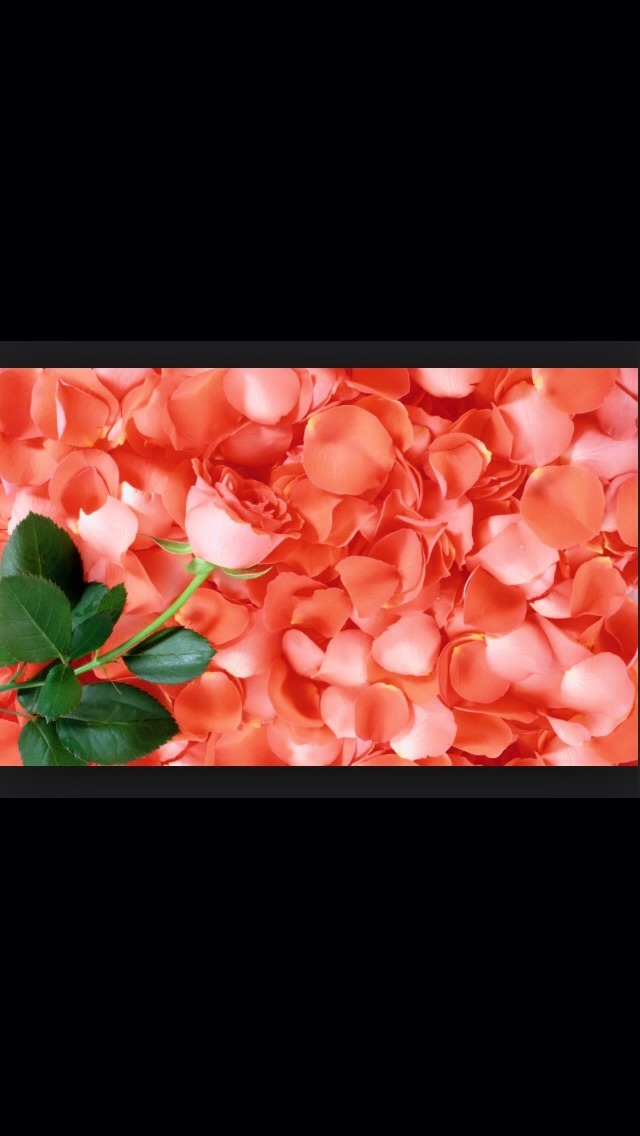 Make a paste using a handful of rose petals and some cream. Apply this on the lips, this will make pink and soft.