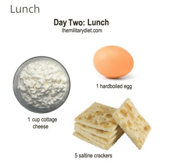 Substitutes 

Cottage Cheese: PLAIN Greek yogurt, ricotta cheese, cheddar cheese, eggs, or ham

Saltine Crackers: Rice cakes or any other cracker with equal calorie value (13 cal per cracker) 

Eggs: 1 cup milk, 1 chicken wing, 1/4 cup seeds or nuts, or 2 slices bacon
