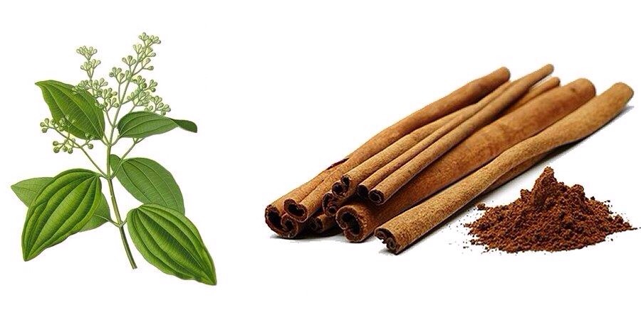 Digestive Aid and Stomach Smoother
(Cinnamon helps break down fats during digestion, just add it to a heavy dish, and u will be doing your body a favor. Or half an hour prior to eating, add it to water, spiced with few dashes of cinnamon and teaspoon of honey.)  