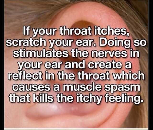 23 LIFE HACKS THAT COULD IMPROVE YOUR HEALTHπͺπͺπͺππ