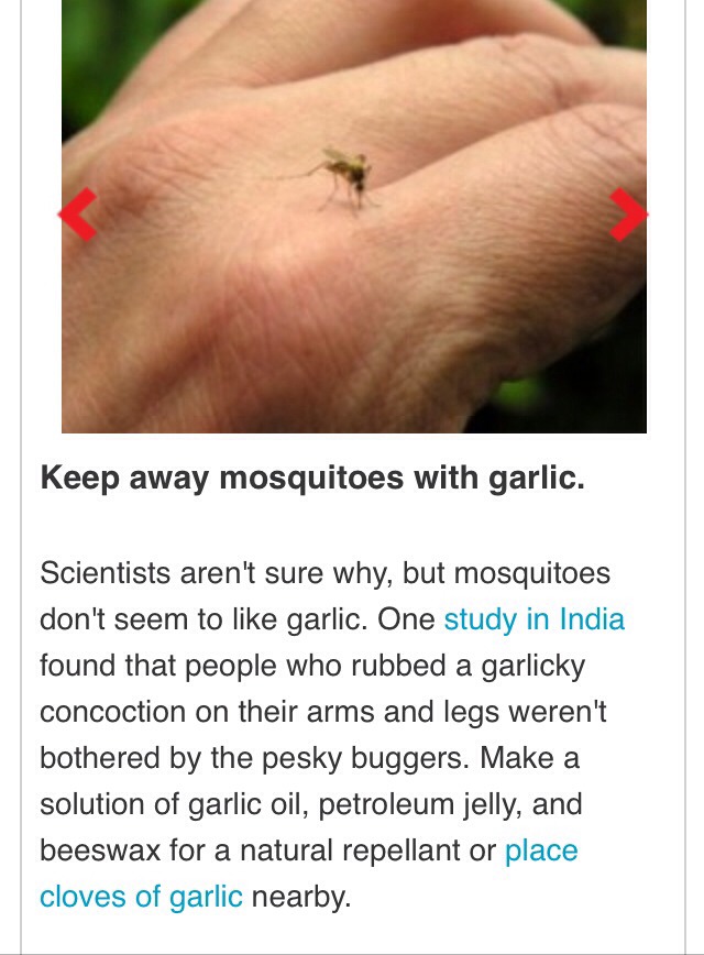 Benefit of Cloves Garlic!
