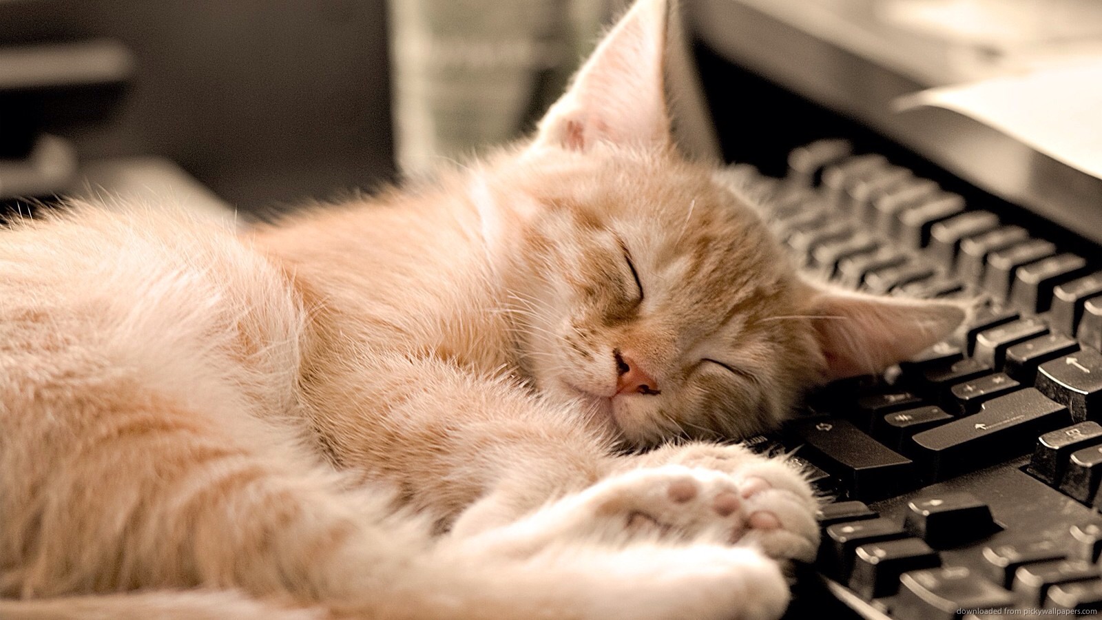 💤• a 10 minute nap is good enough for 6 hours - 