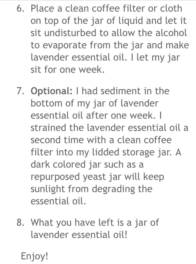 🌿How To Make Lavender Essential Oil!🌿