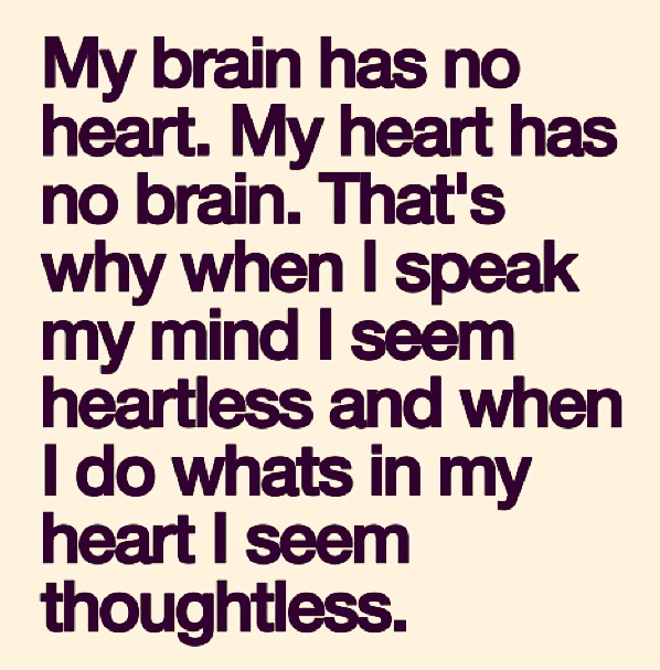 Super Cute Quotes For Everyday