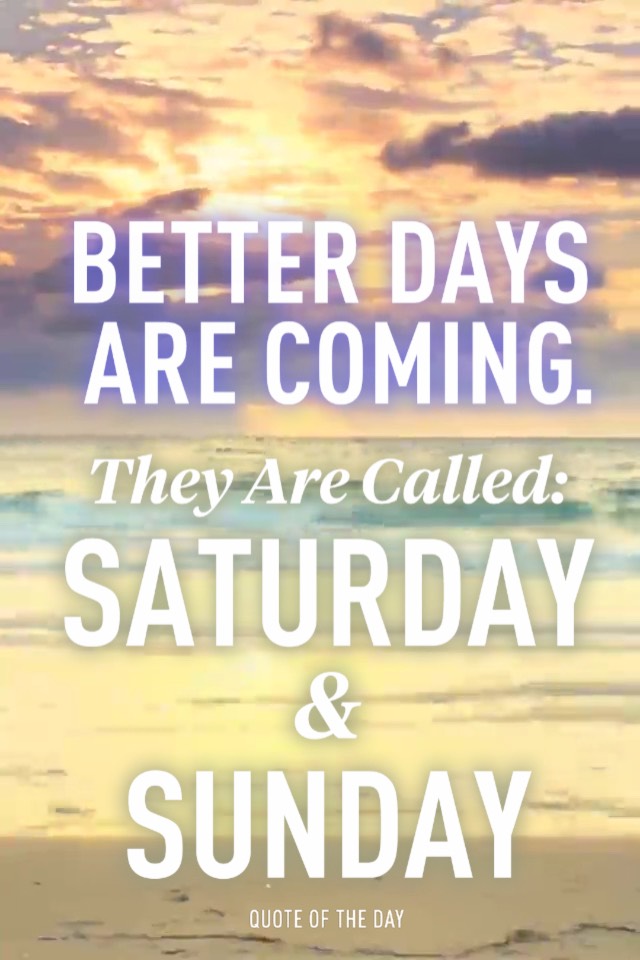 Cute Quotes You Can Save