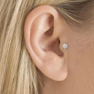 Tragus. 