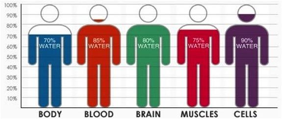 Important Health Tips