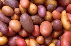 To Keep potatoes white:
Cover shredded or diced potatoes with cold water before cooking to prevent the spuds from turning that gross grayish/brown caused by the release of a starch that makes them oxidize.