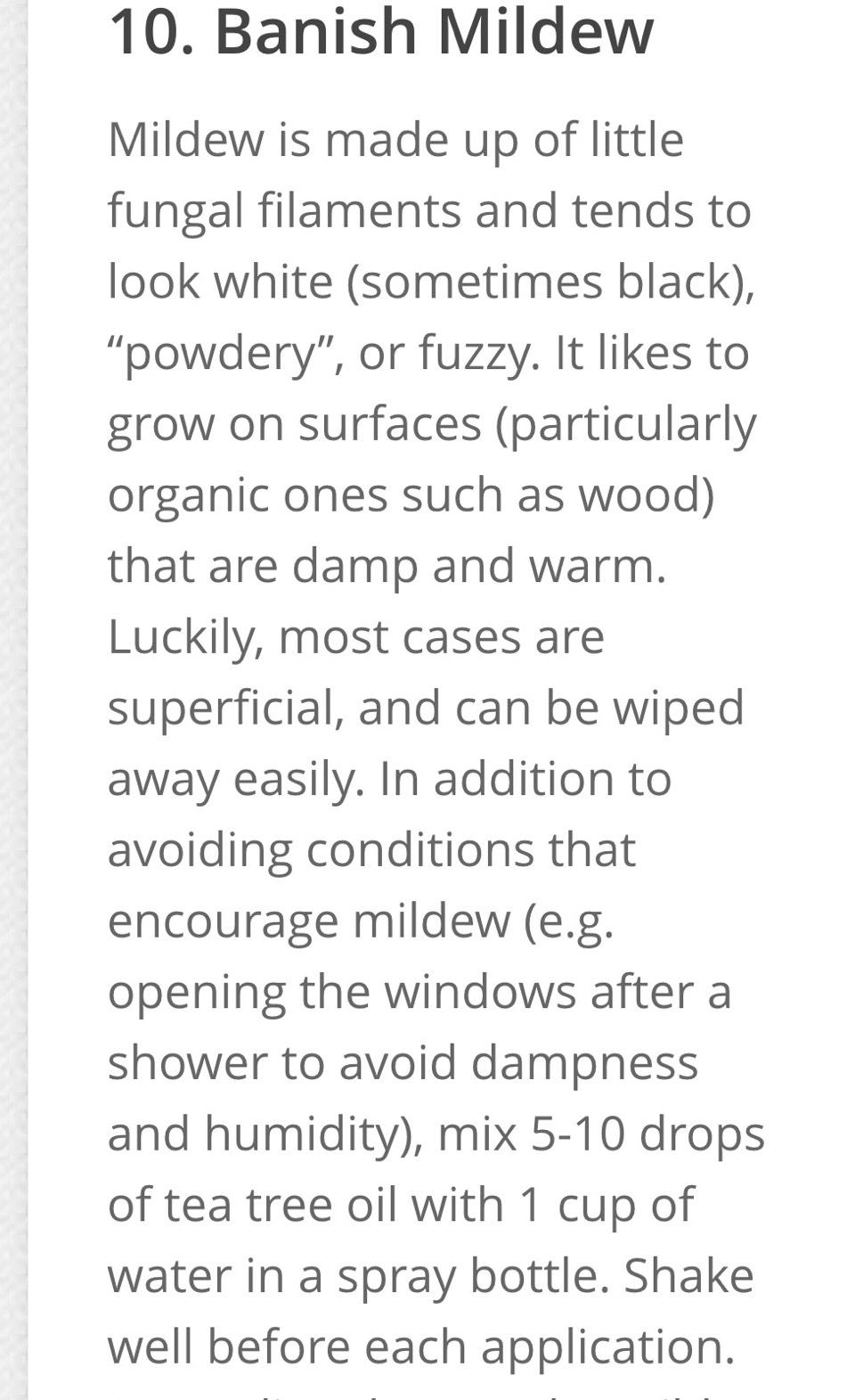 25 Everyday Uses For Tea Tree Oil