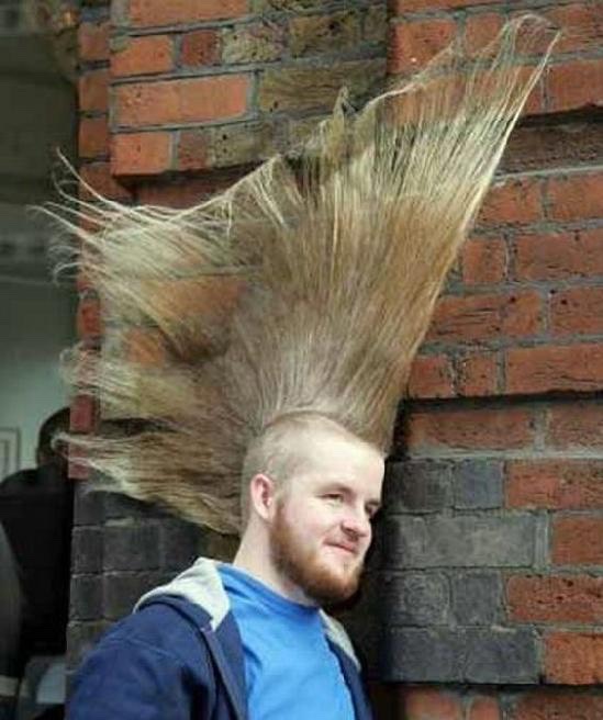 weird crazy hair styles