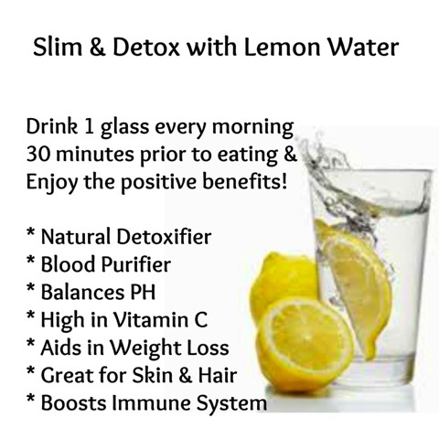 Lemon Cucumber Mint Detox Waterπ