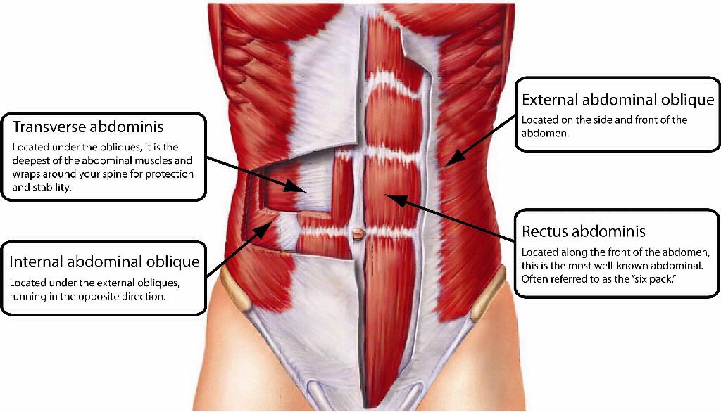 The core!! 