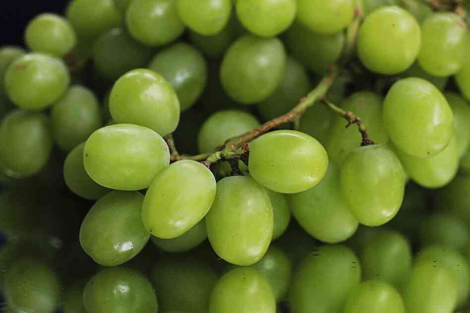 Grapes - contain disease preventing compounds, lowers risk of cardiovascular disease, helps strengthen antioxidant substances, reduce risk of heart disease