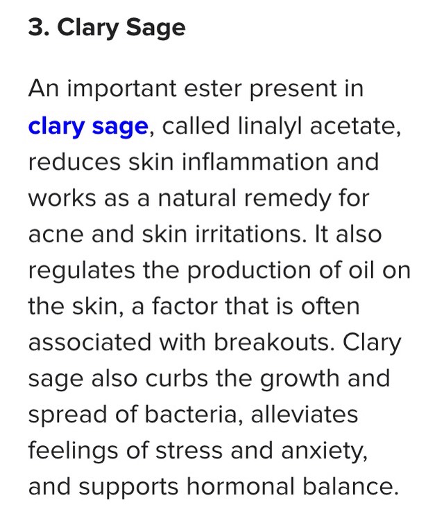 Top 4 Essential Oils for Acne🍯