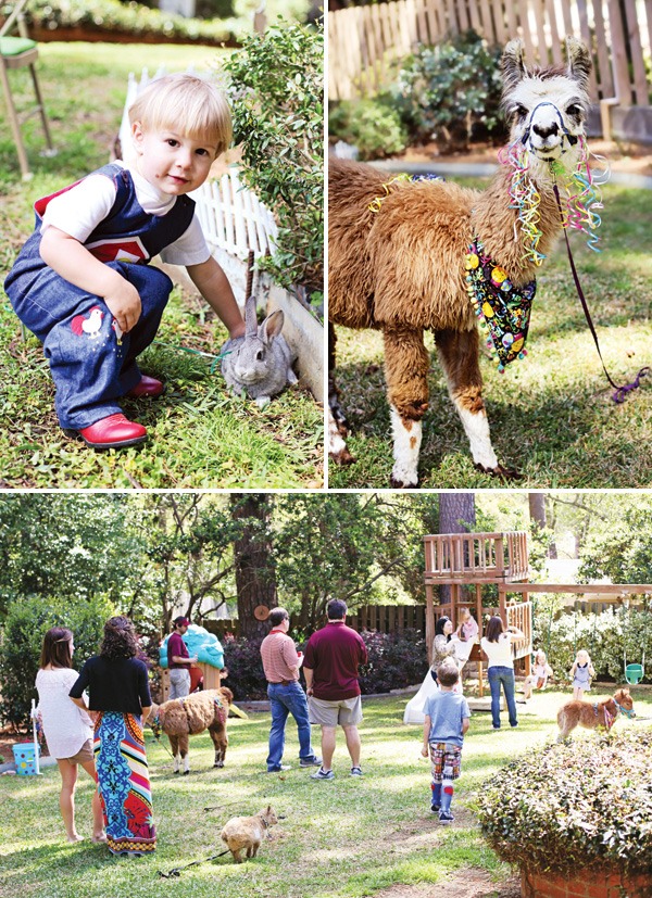Petting zoo party !!! Everyone will love spending time with the cute animals:)