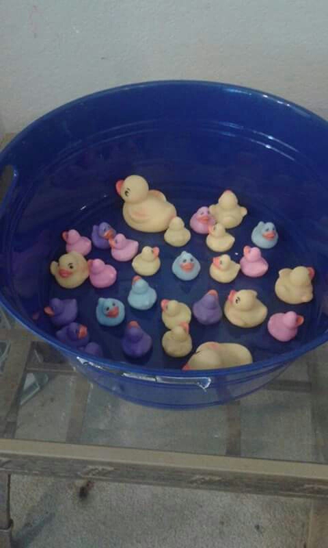 Pick a duck