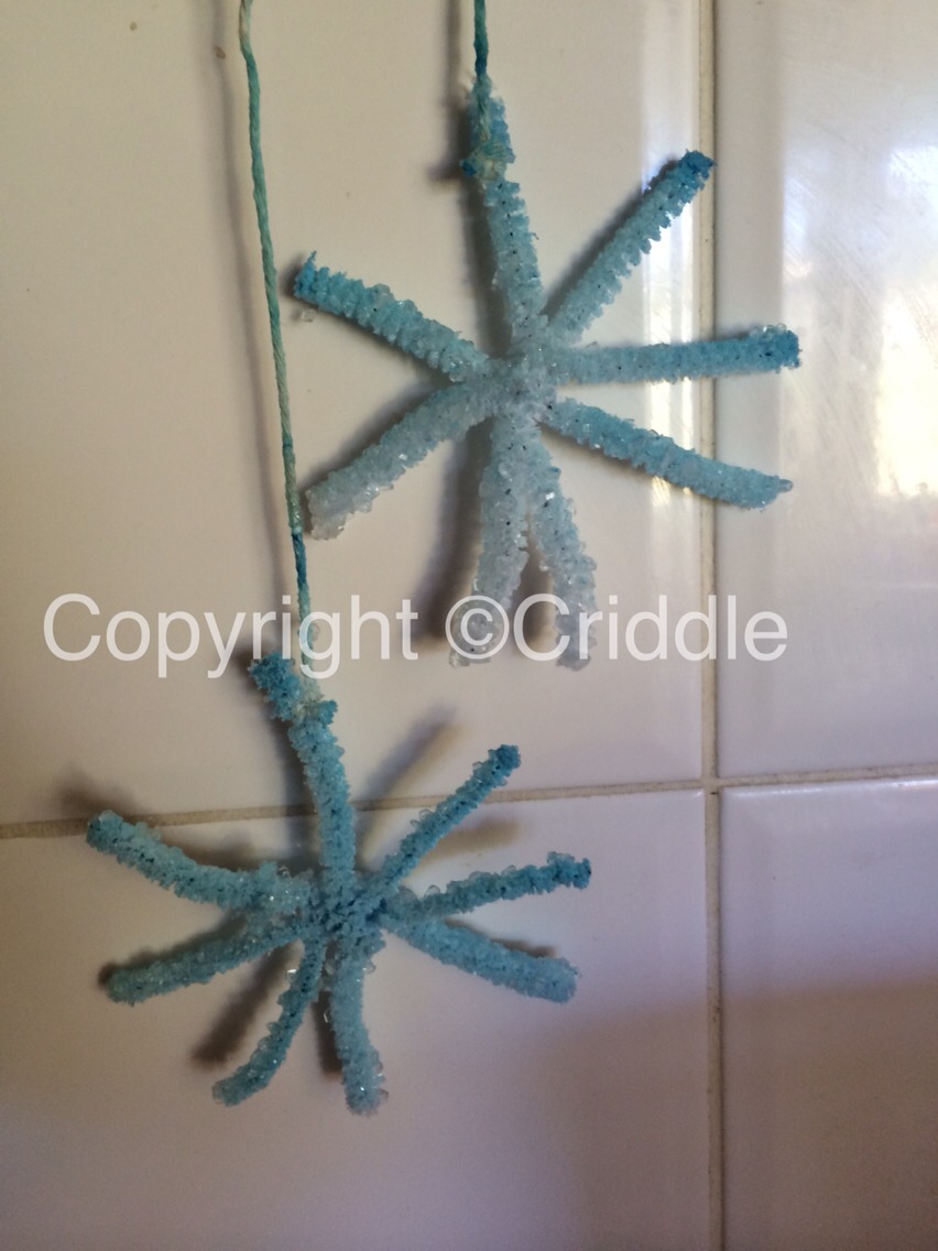 .Attach a piece of string to the top of one of the pipe cleaners and tie the other end to a pencil (this is to hang it from). Fill a widemouth jar with boiling water. Mix borax into the water one tablespoon at a time. Use 3 tablespoons of borax per cup of water. Stir until dissolved, 
