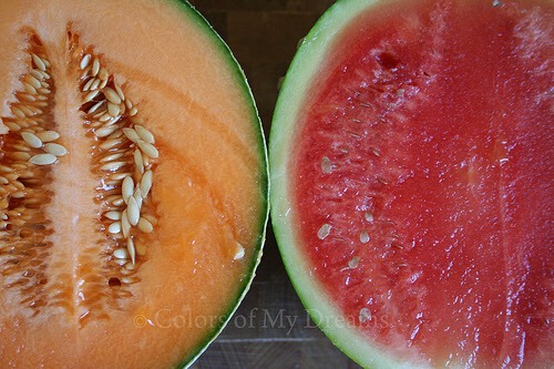 Cantaloupe and watermelon 