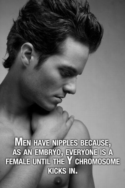 Fun Crazy Facts