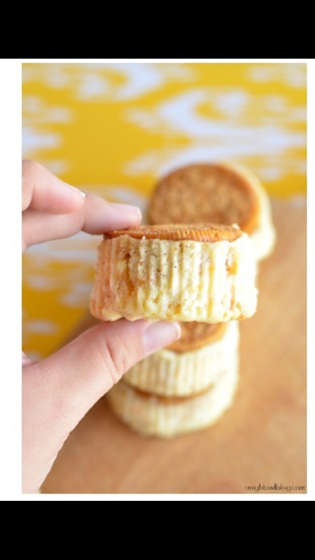 Mini Lemon Oreo Cheesecakes!