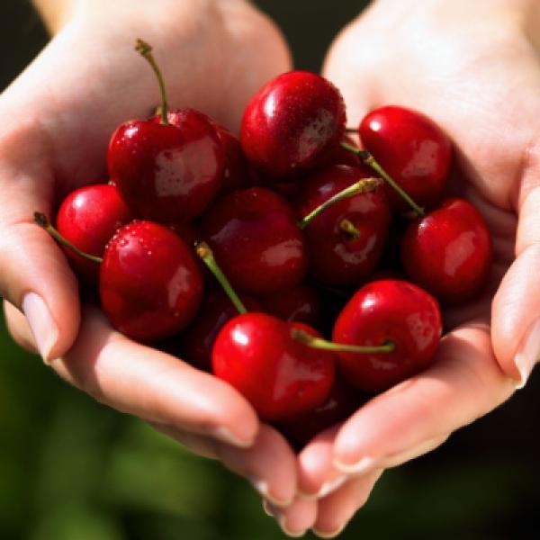 Cherries