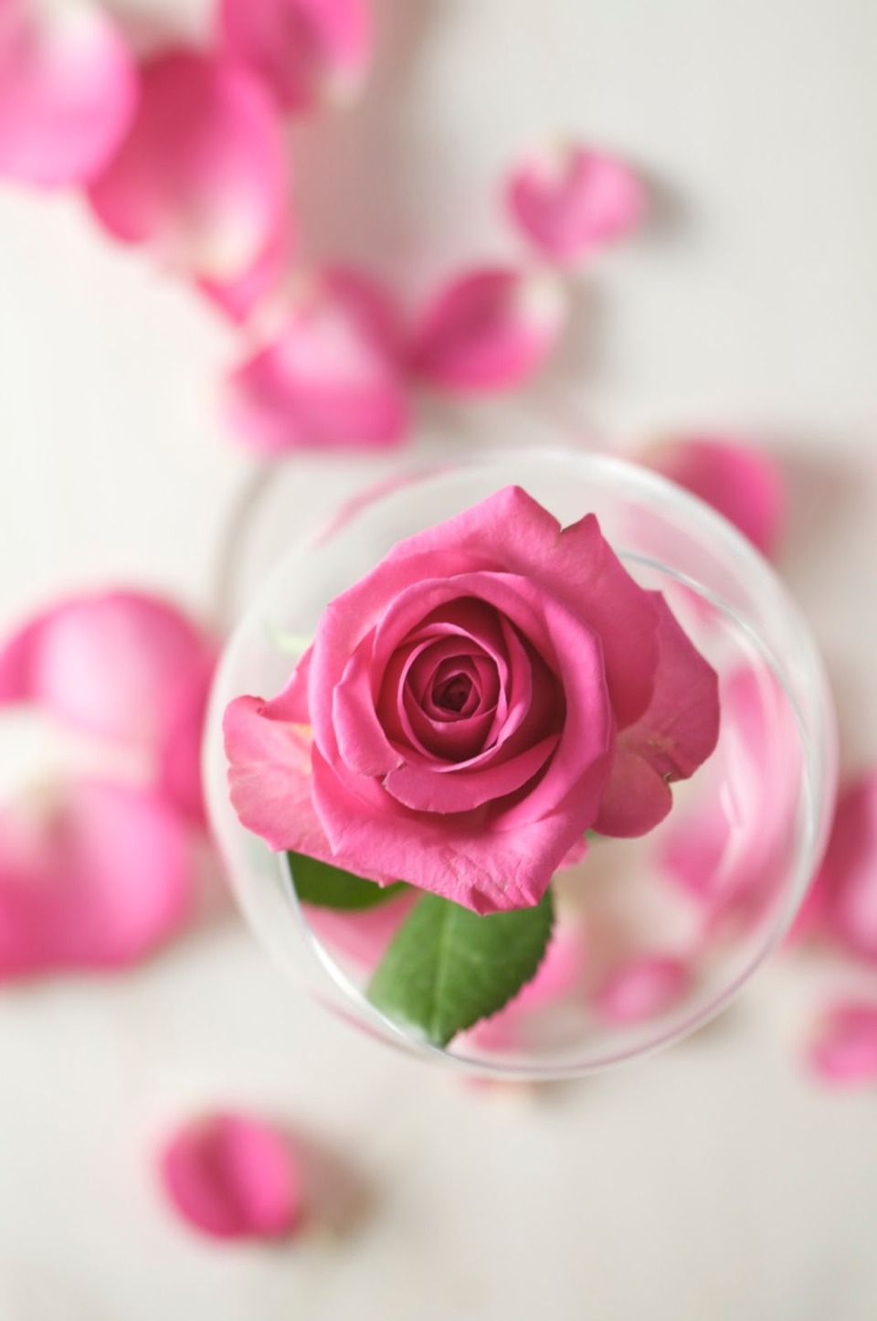 8. Mix 3 spoons of rose water with ¼ cup of honey and apply on your skin for 15 minutes. This face mask helps to give you supple and lovely skin.
