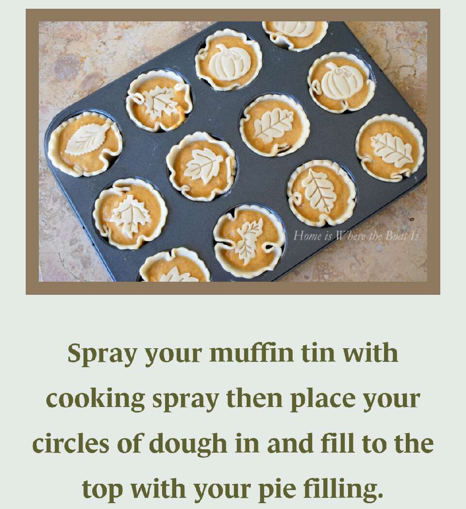 Mini Pumpkin Pies!!!