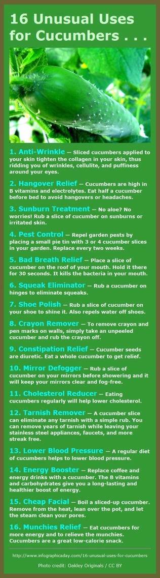 10 Fun Fact Beauty Tips
