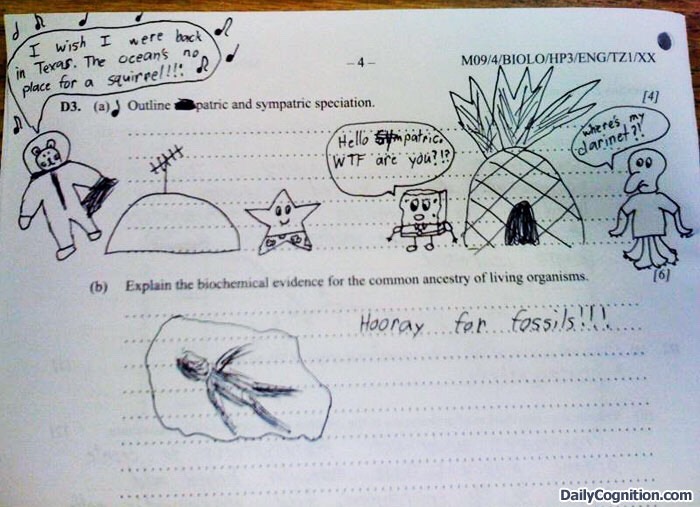 Funny Test Answers