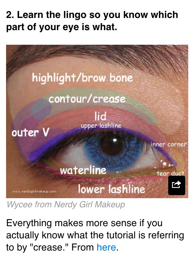19 Eyeshadow Basics Everyone Should Know 👀