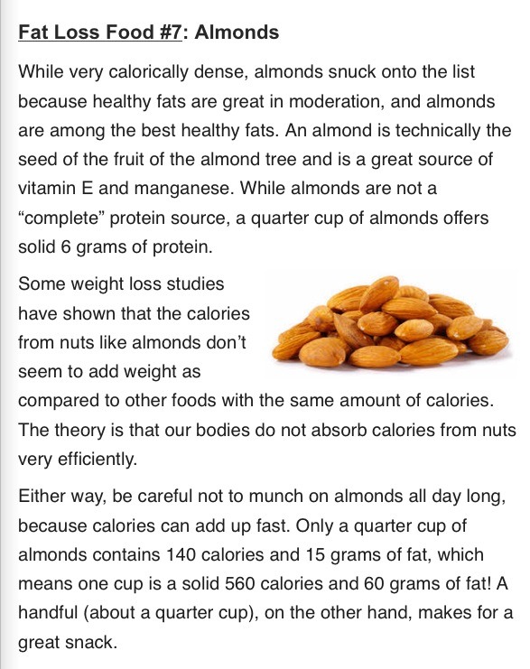 Top Ten Fat Loss Foods
