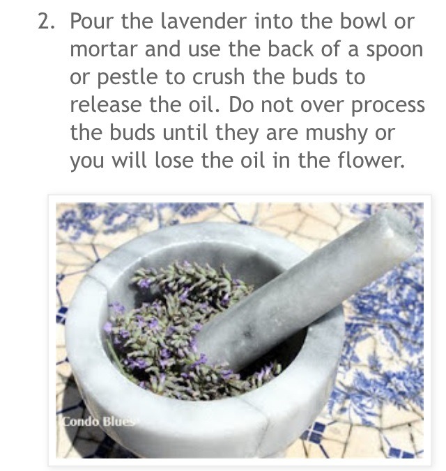 🌿How To Make Lavender Essential Oil!🌿