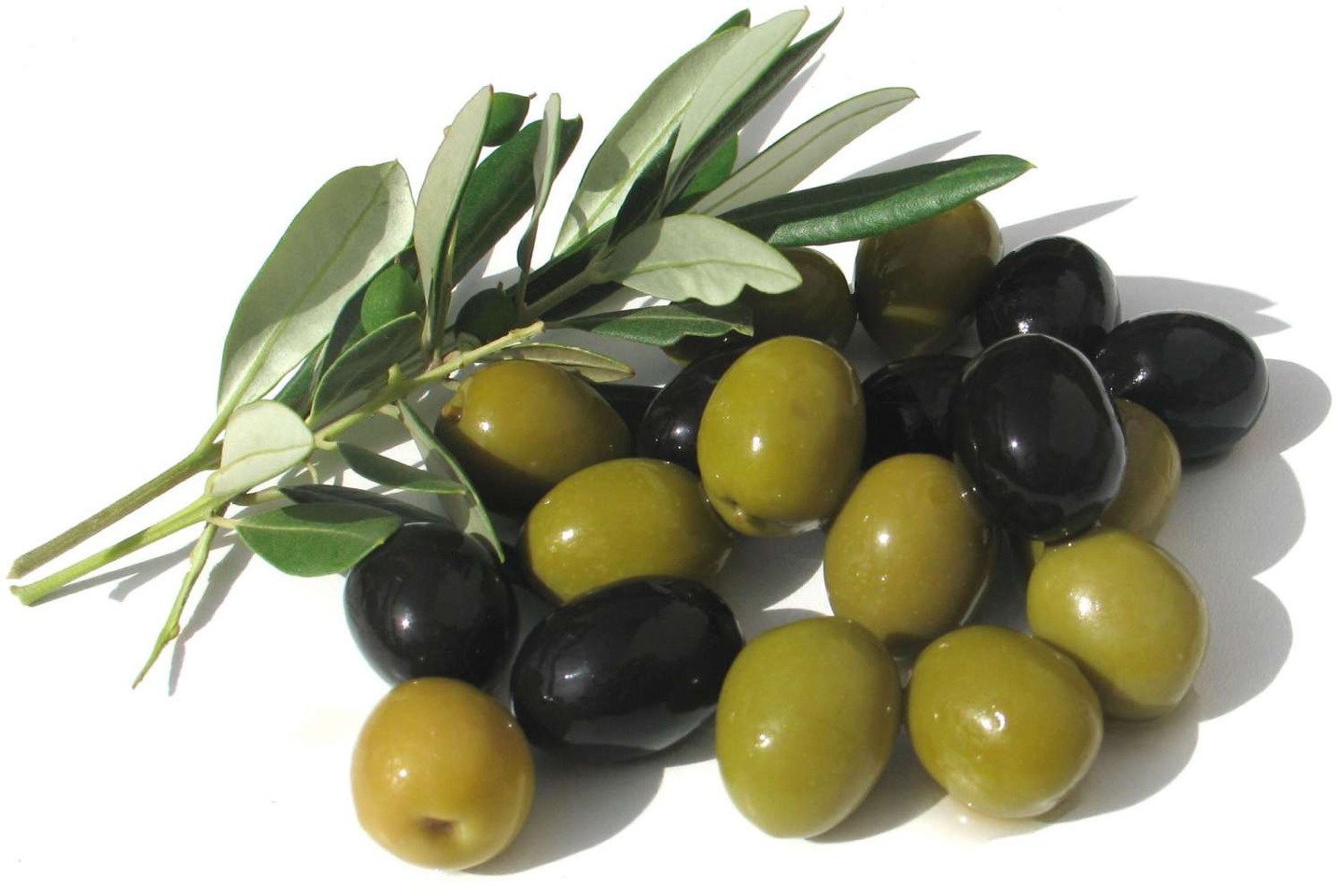 Olives and olive oil 