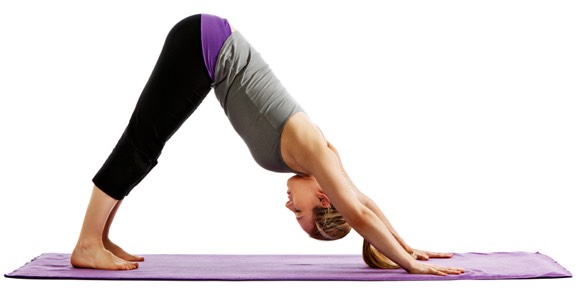 Downward dog stretch