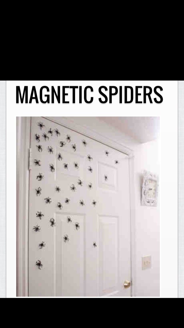 Halloween decorations! 