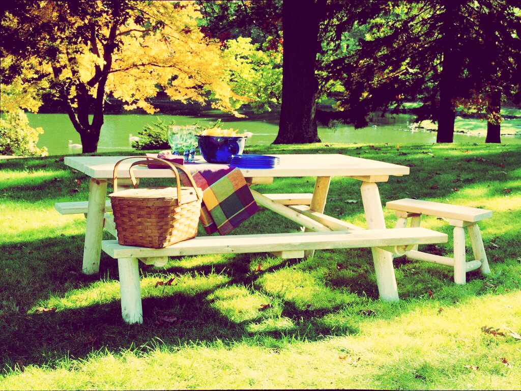 have a picnic! find a group of friends or even your boyfriend or girlfriend and have a picnic with your favorite foods or trying out new foods you've never tried! 
