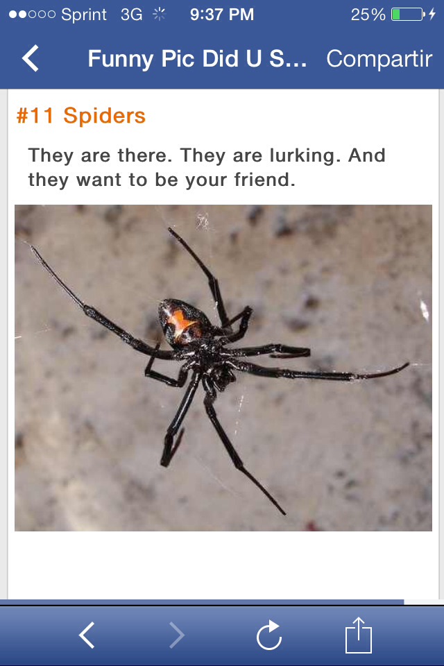 Reasons To Never Go Camping Again !!!!