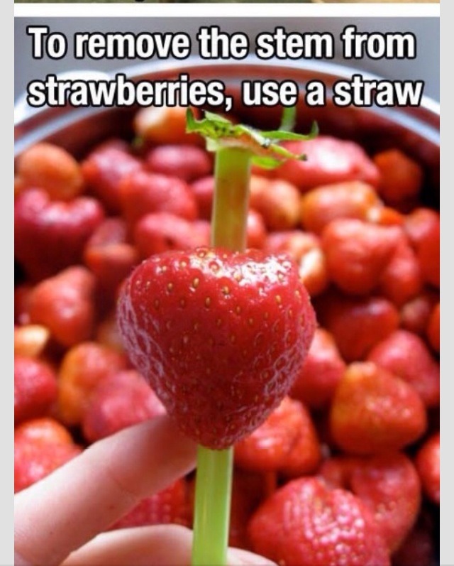 Life Hacks For The Lazy And Creative 