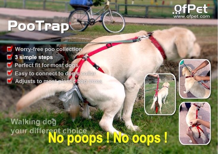 32. PooTrap 
This handy device can help you to clean up after your do.  The "Poo Trap" is a plastic bag that sits on your dog’s behind and catches the poo "as it happens".
$38.00