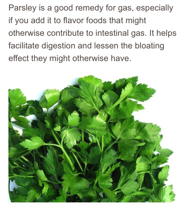 Flat Belly Foods