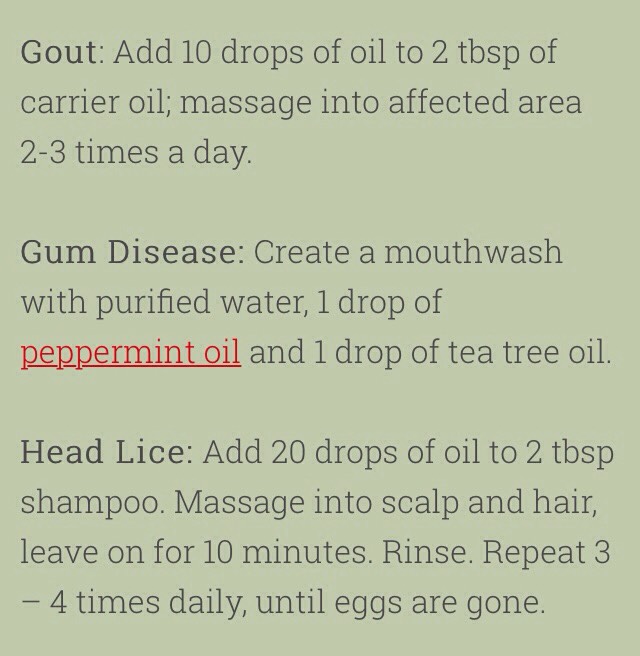💥75 Amazing Tea Tree Oil Uses💥