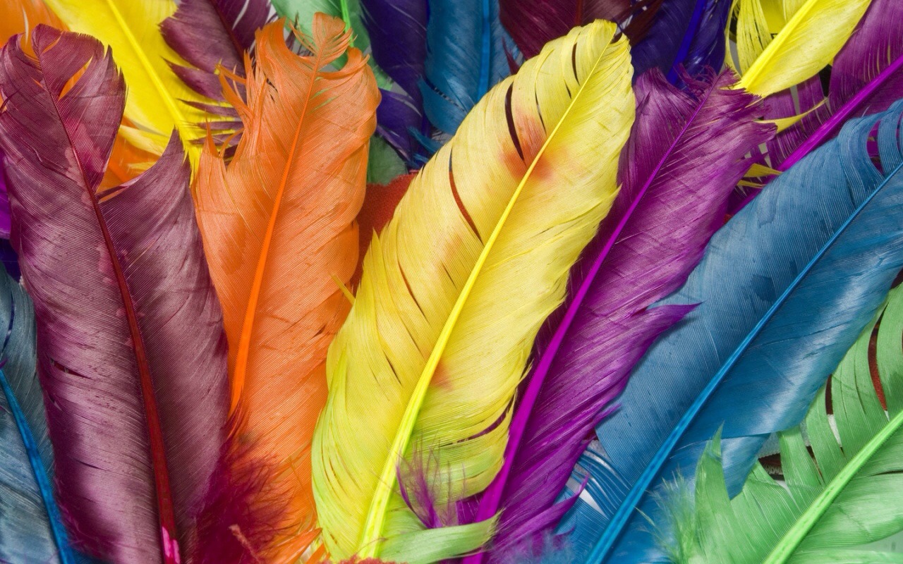 Colorful Wallpaper