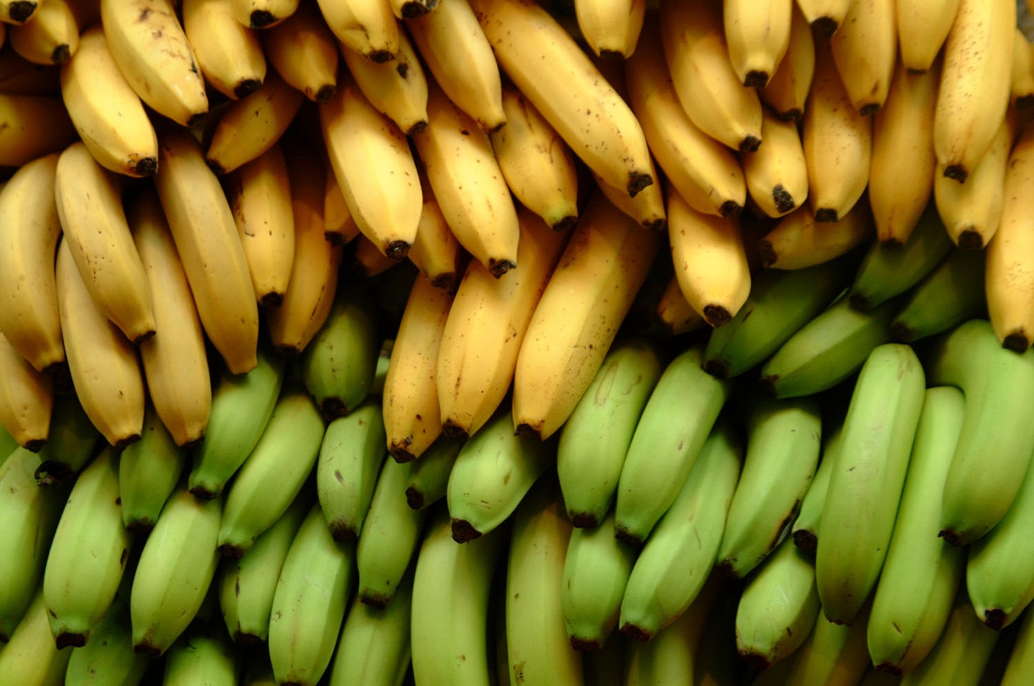 All Ways Eat Health