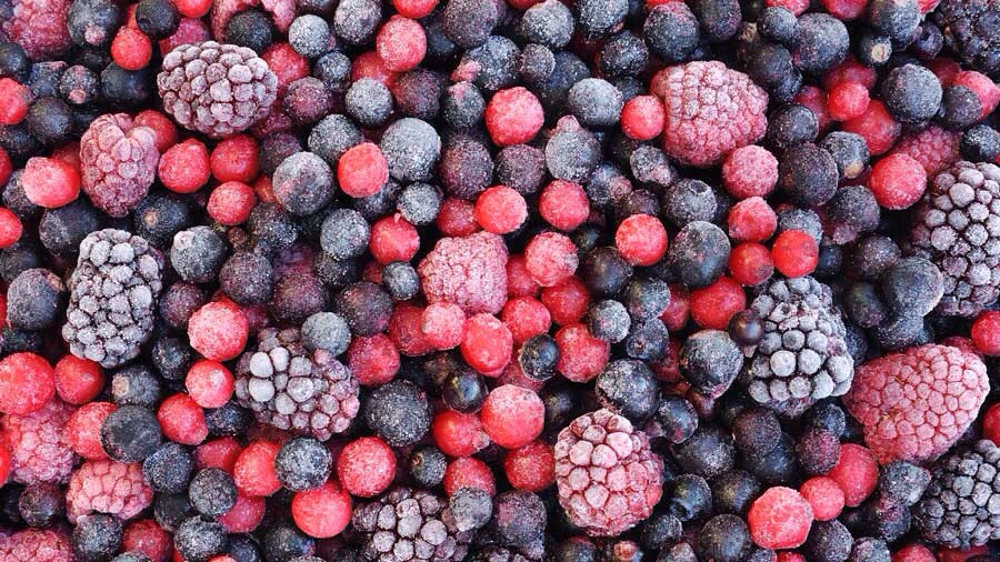 Your freezer is your friend
If you waste food because you can’t eat it all in time – say, if you live in a small household and always end up with half a loaf of mouldy bread, or if your favourite recipes fill the fridge with opened tins – don’t under-estimate what can be preserved in the deep freeze