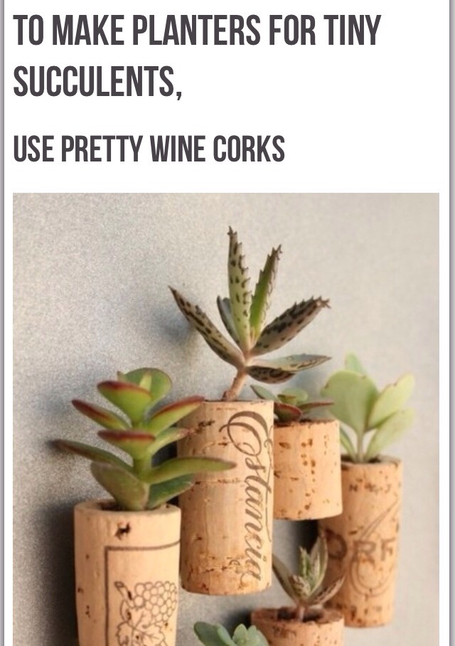 32 Ideas Of Life Changing Ways To Use Ordinary, Everyday Objects.