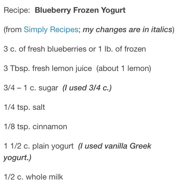 Homemade Blueberry Frozen Yogurt 