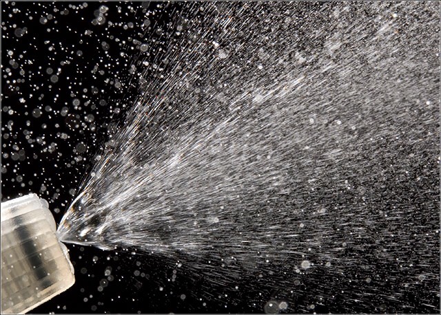Water to damp your hair