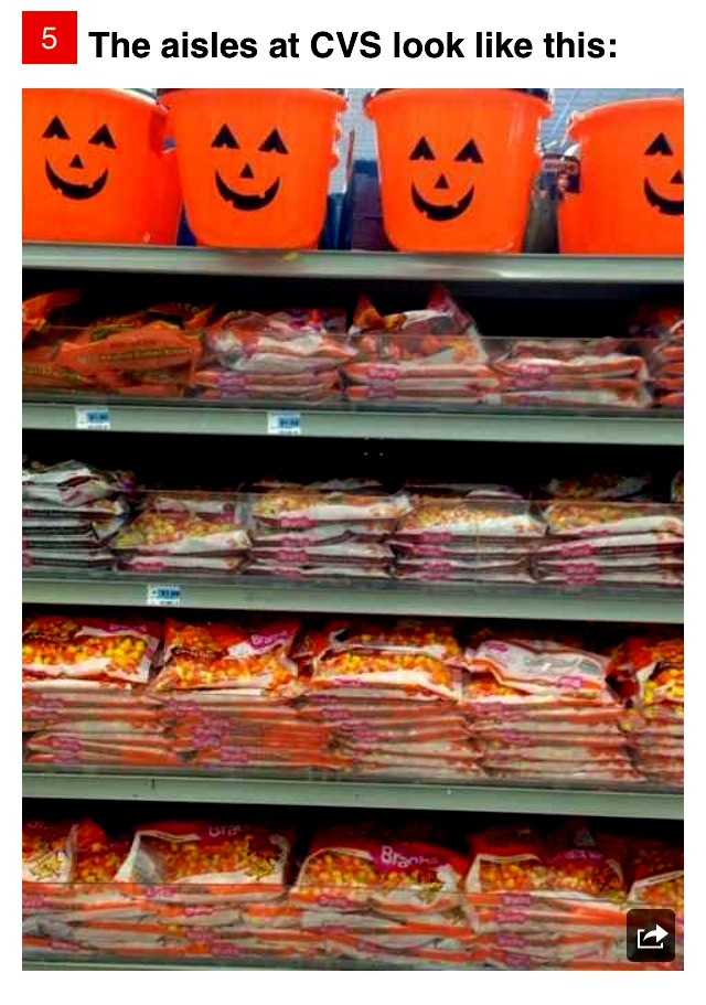 24 Reasons To Love 🎃ctober