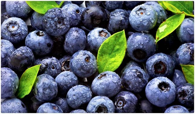 Blueberries:
helping the body break down fats and sugars